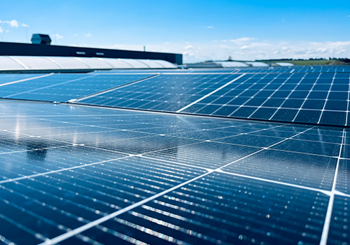 Photovoltaikanlage auf dem Firmengelände der Martin Höhn GmbH als Zeichen für nachhaltige Energiegewinnung