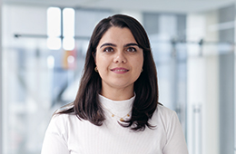 Arzu Alan
